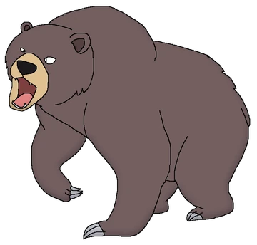 Rare Species Himalayan Brown Bear