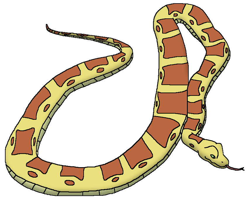 Pythonidae - Wikipedia