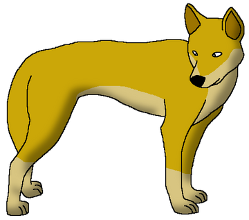 All the colours of the dingo: not just a yellow dog