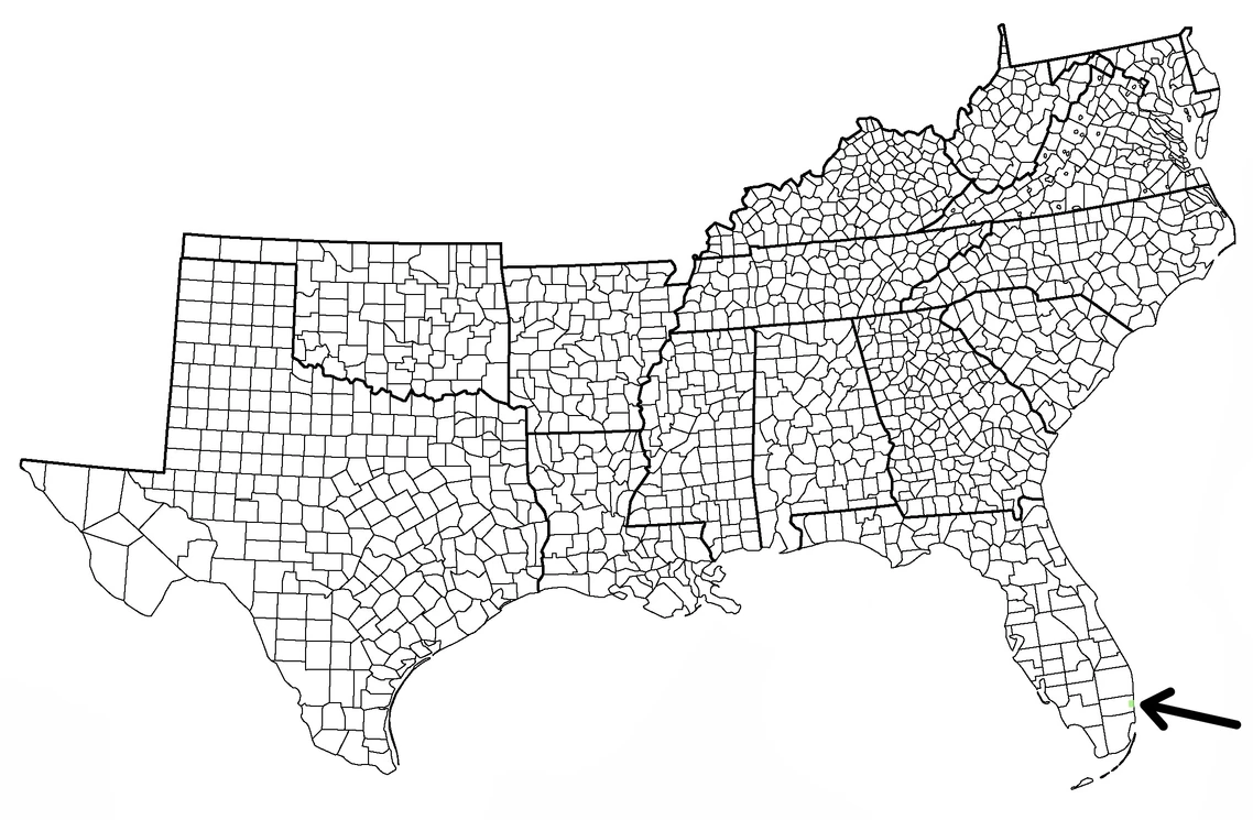 Saimiri sciureus-Common Squirrel Monkey | Wildlife of the American