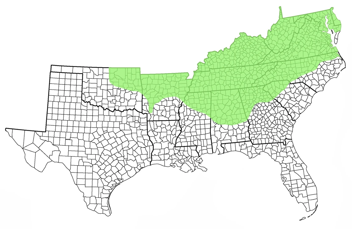 Marmota monaxWoodchuck Wildlife of the American South Wiki Fandom