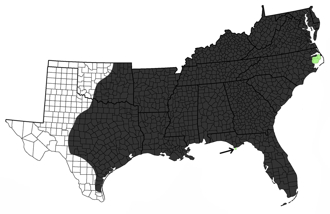 Canis rufusRed Wolf Wildlife of the American South Wiki Fandom