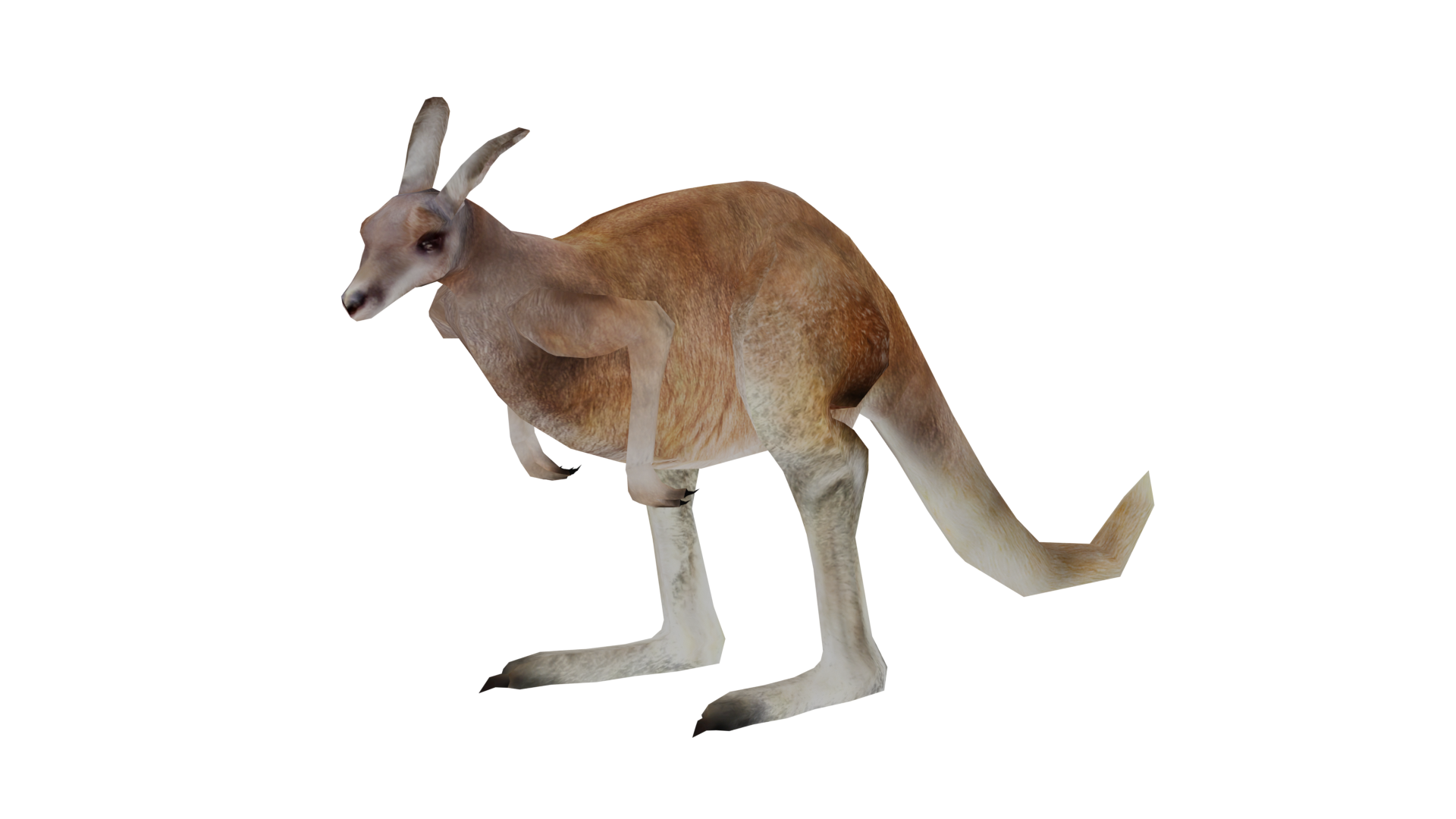 Red Kangaroo | Wildlife Park 2 Wiki | Fandom Red Kangaroo | Wildlife Park 2 Wiki | Fandom