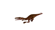 Test render of the baby female Velociraptor