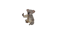 Test render of the baby Koala