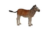 Test render of the baby Quagga