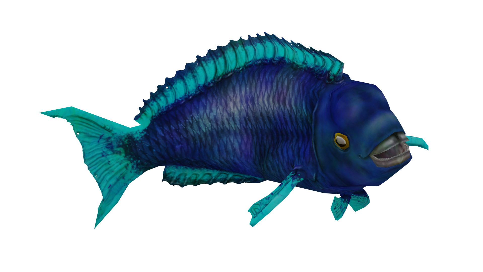 Parrotfish | Wildlife Park 2 Wiki | Fandom