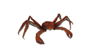 Alaskankingcrab dark.png (1.33 MB) Test render of the Alaskan King Crab (dark variant)