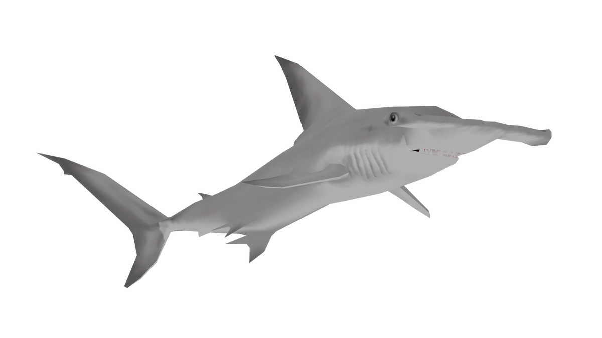Great Hammerhead Shark | Wildlife Park 2 Wiki | Fandom