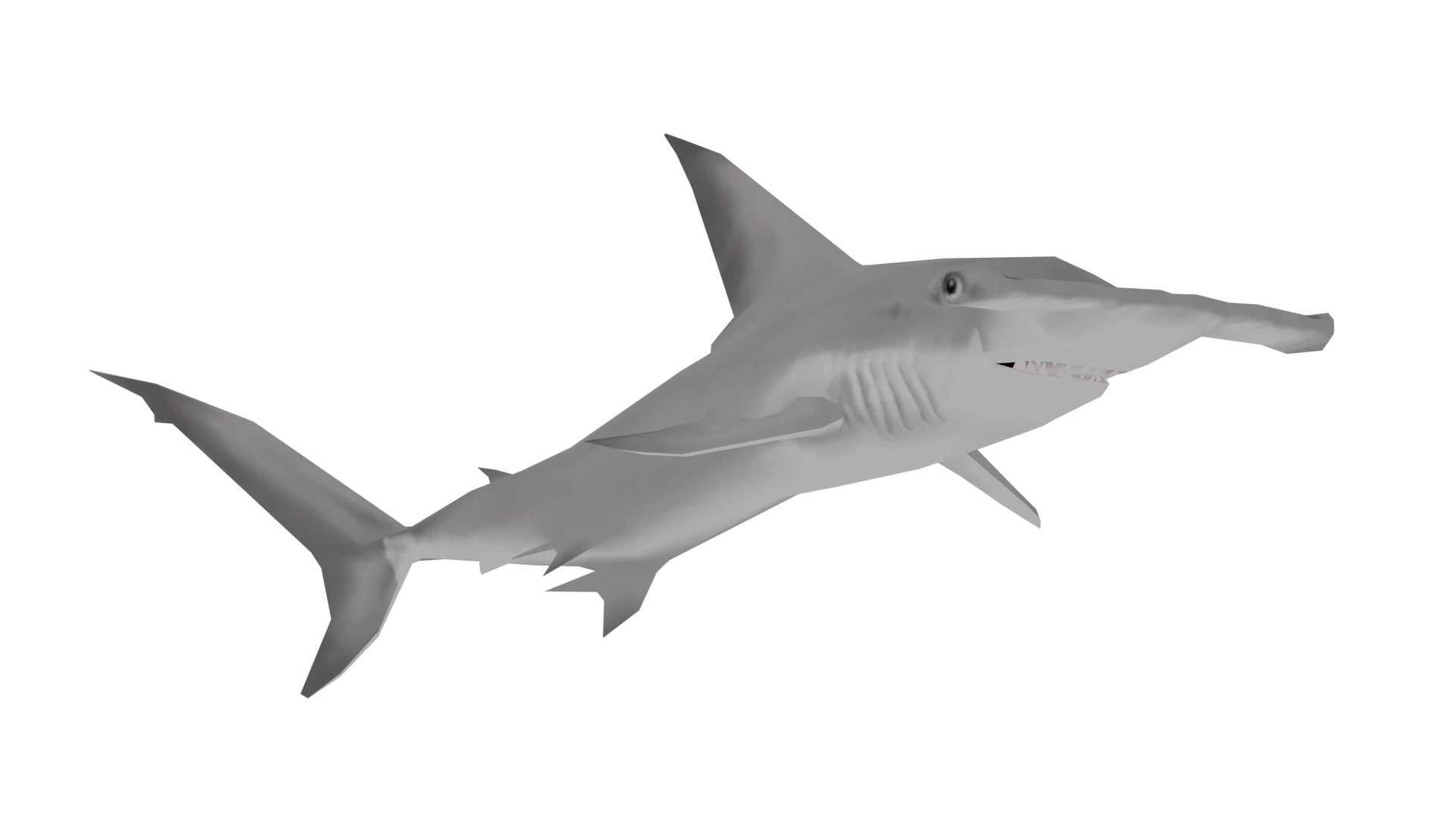 Great Hammerhead Attack