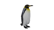 Test render of the King Penguin (yellow variant)