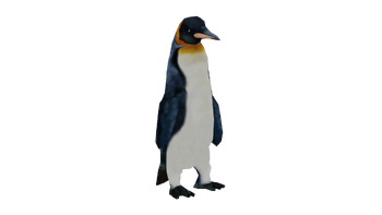 WLP2 kingpenguin
