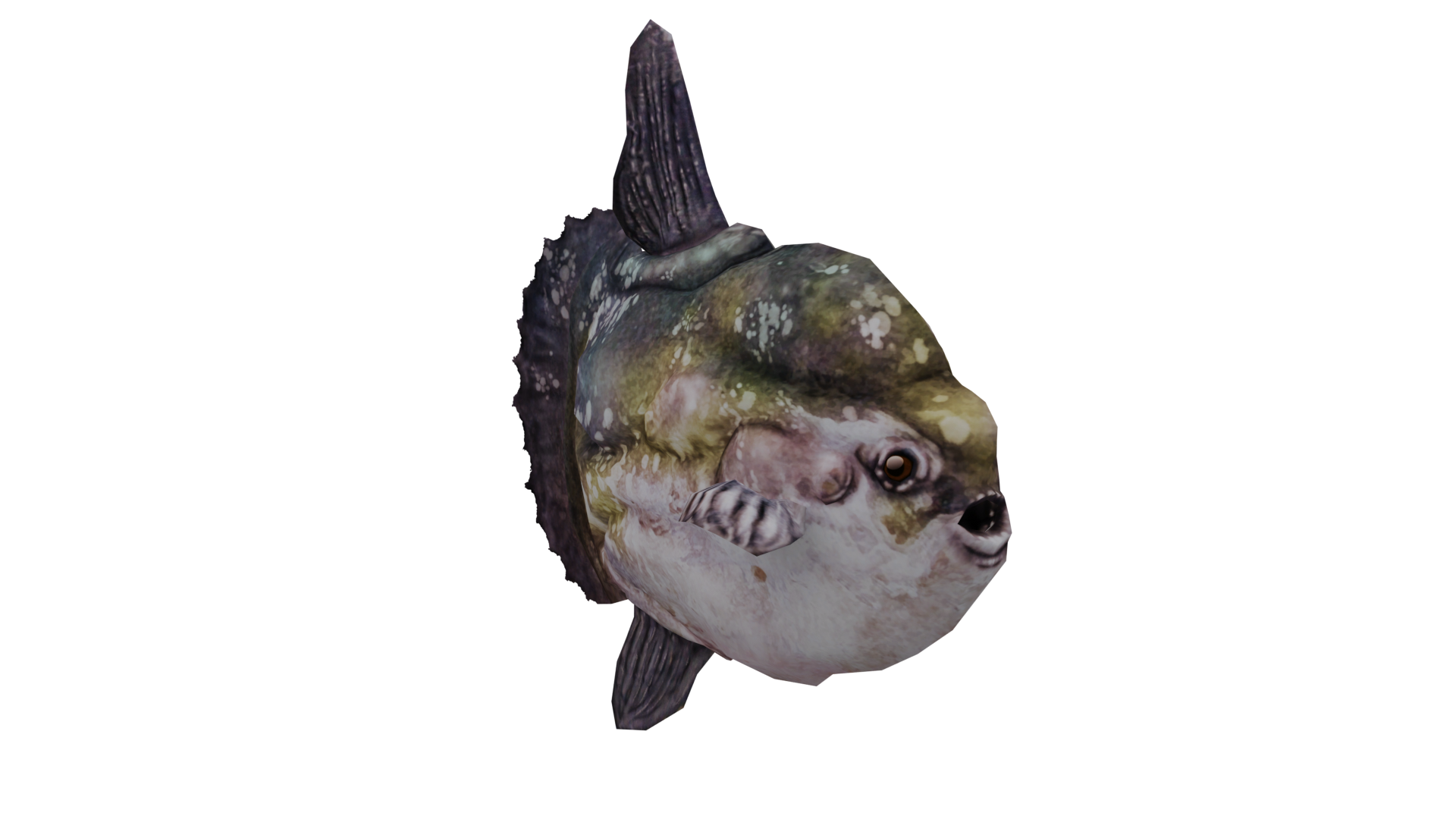 Ocean Sunfish, Wildlife Park 2 Wiki