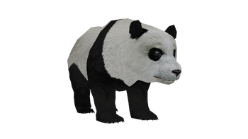 WLP2 giantpanda