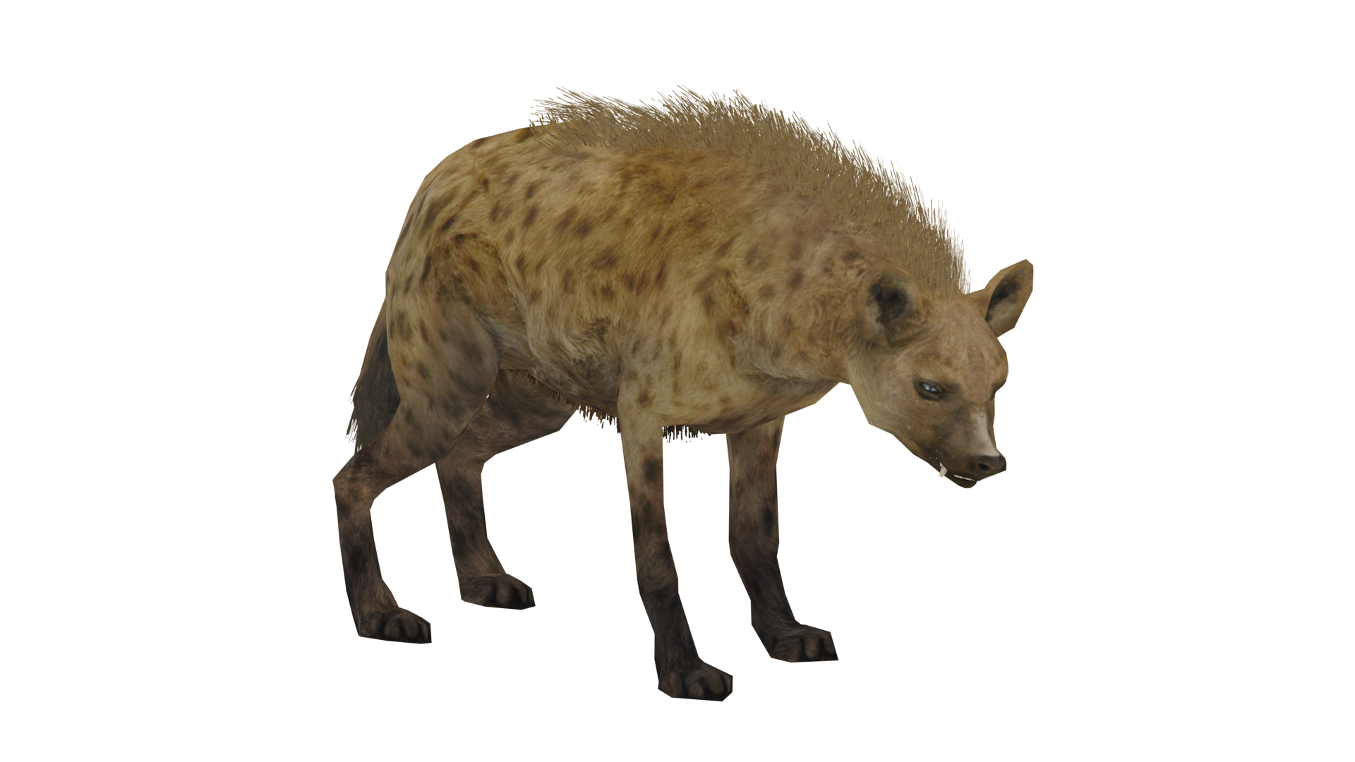 Spotted Hyena | Wildlife Park 2 Wiki | Fandom