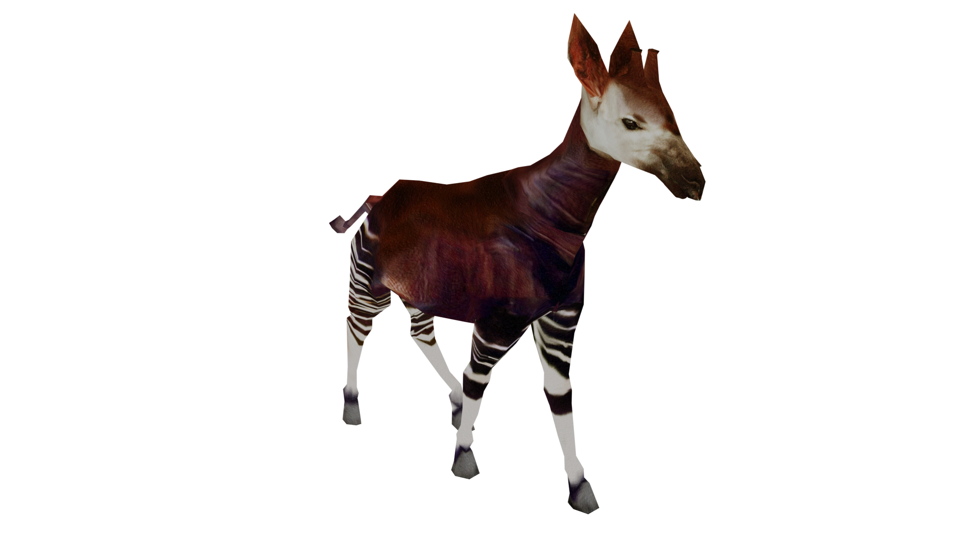 Okapi - Wikipedia