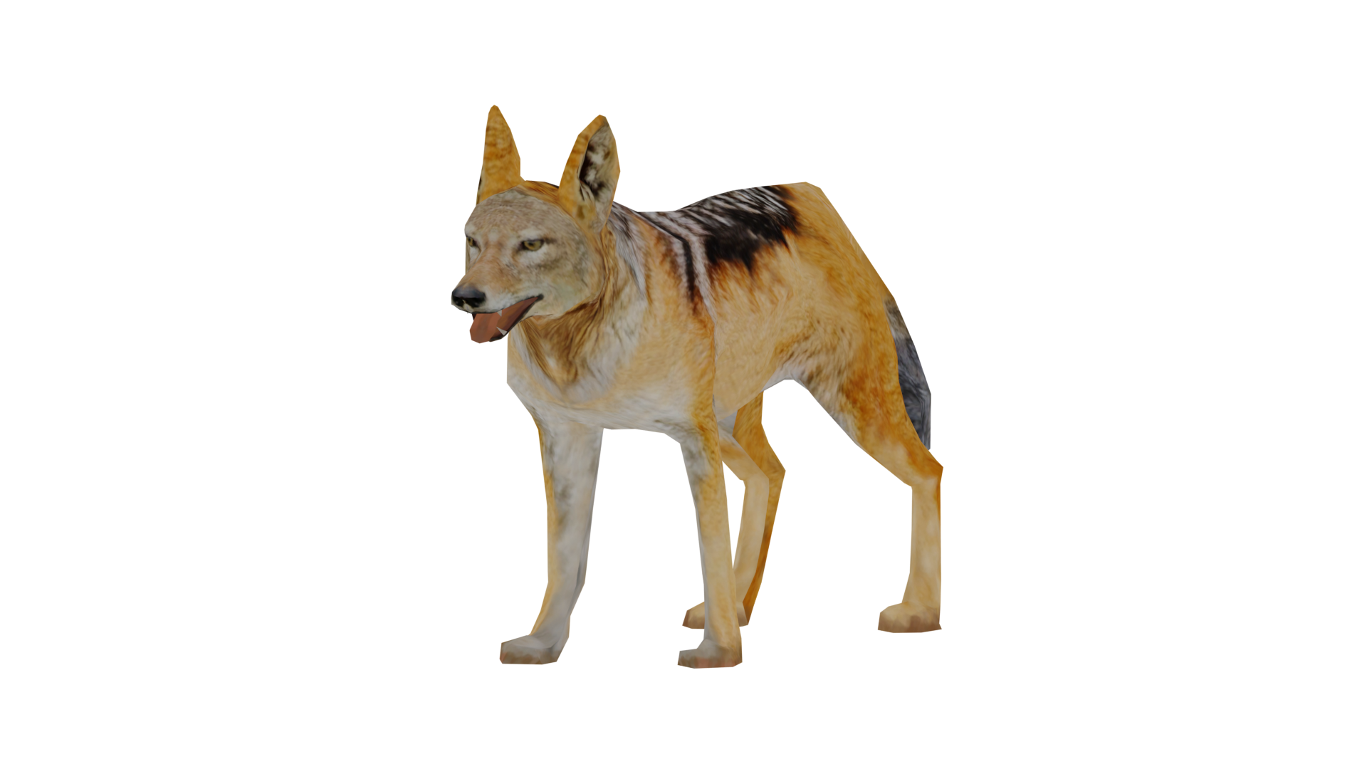 Dingo, Wildlife Park 2 Wiki