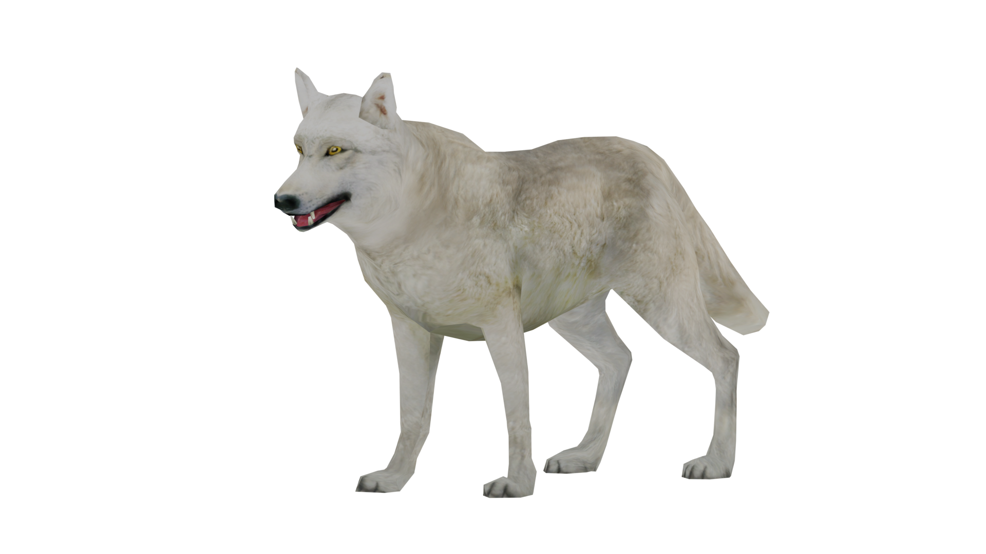 Item:Web Camera, White Wolf Wiki