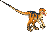 Velociraptor