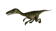 Test render of the male Velociraptor