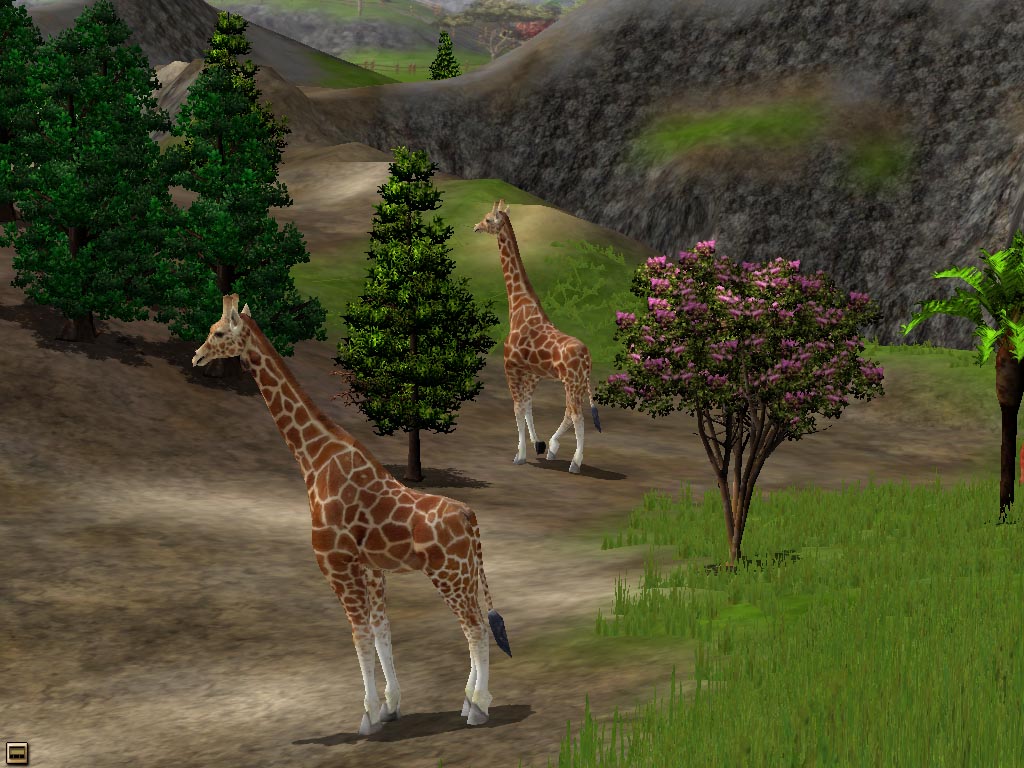 Giraffe Wildlife Park 2 Wiki Fandom Giraffe Wildlife Park 2 Wiki Fandom