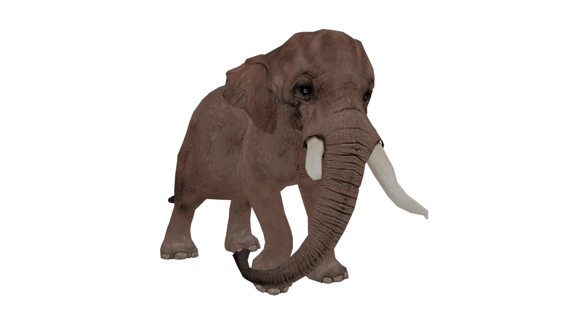 Indian Elephant | Wildlife Park 2 Wiki | Fandom