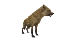Spotted Hyena | Wildlife Park 2 Wiki | Fandom