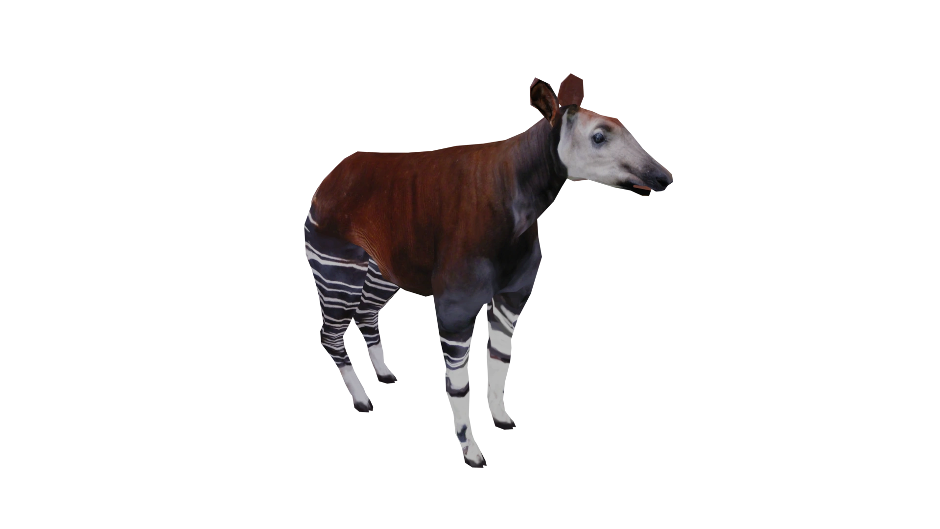 Okapi Wildlife Park 2 Wiki Fandom