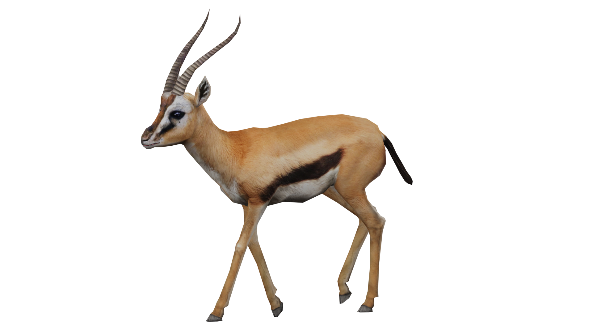 GAZELLE