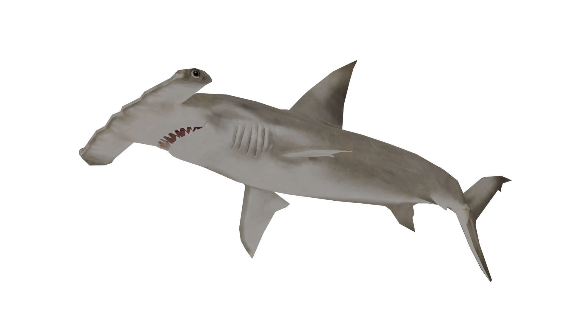 Hammerhead Shark 14835 WILD LIFE