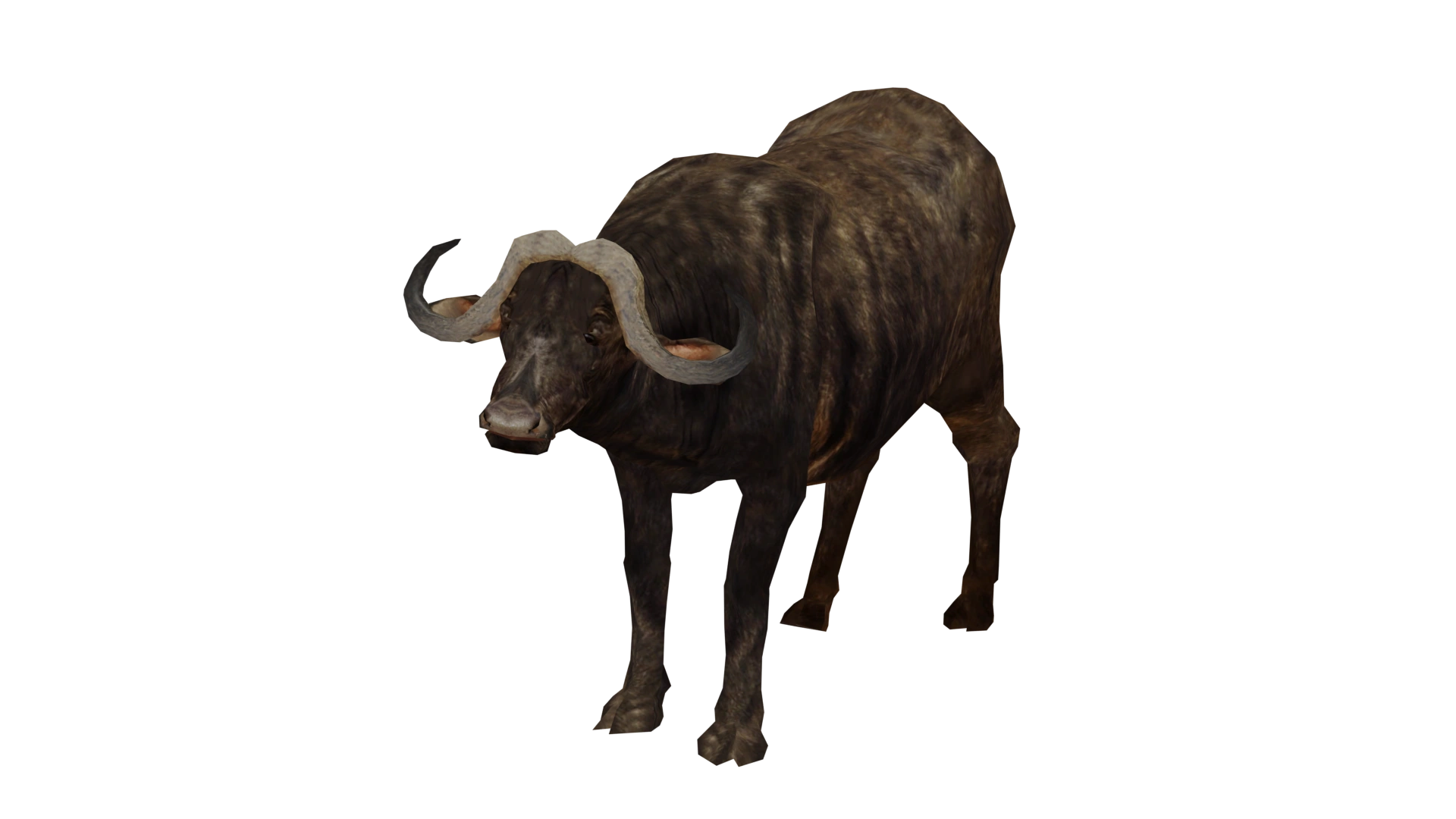 African Buffalo | Wildlife Park 2 Wiki | Fandom