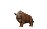 Test render of the baby Elasmotherium