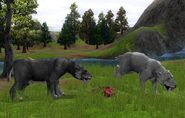 Two different colored Smilodons