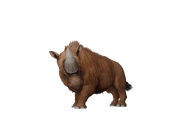 Test render of the baby Elasmotherium