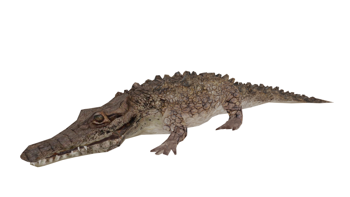 Crocodile oil - Wikipedia