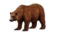 Test render of the Grizzly Bear