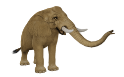 African Elephant | Wildlife Park 2 Wiki | Fandom African Elephant | Wildlife Park 2 Wiki | Fandom