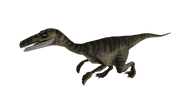 Test render of the male Velociraptor (pale variant)