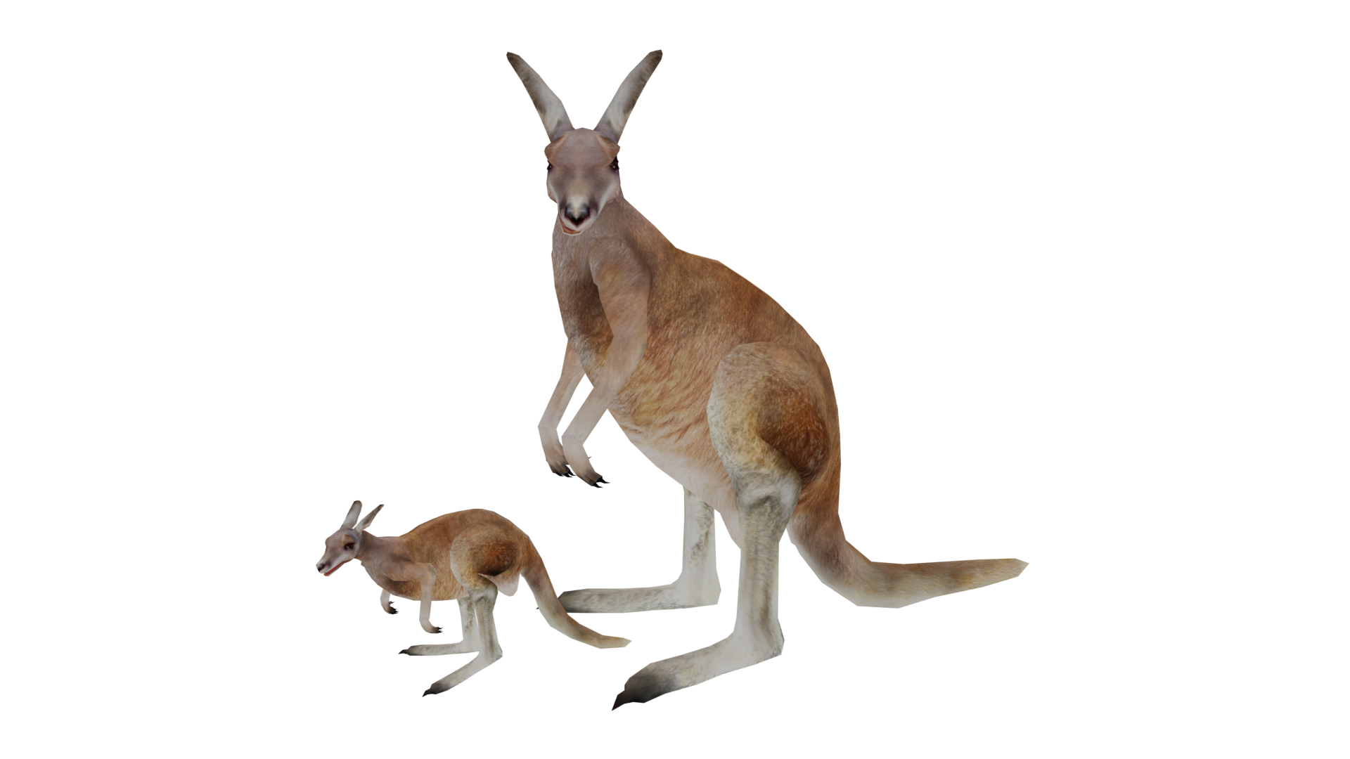 Red Kangaroo | Wildlife Park 2 Wiki | Fandom Red Kangaroo | Wildlife Park 2 Wiki | Fandom