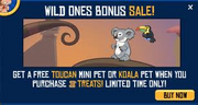 Koala bonus sale