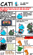 CAT! Comic: #0 - How that Happened