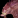 Draken Mount