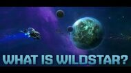 What is WildStar?