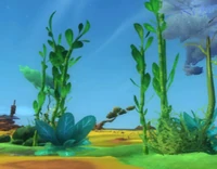 EverstarGroveBiome