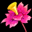 Icon itemmisc flower 01