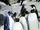 Emperor Penguin