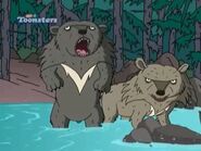 Asian Black Bears from "A Tiger By the Tail"
