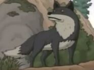 A grey wolf seen in "The Wild Snob Berry"