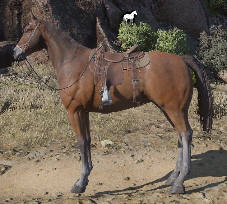 Horse, The Wild West Wiki