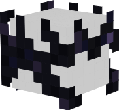 The Endermaster's Helmet/Crown